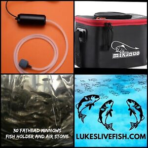 60+ Live Fish Black Tuffies/ Fathead Minnow, Fish Holder, USB Air Stone