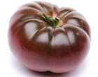 Cherokee Tomato Seeds - Tomato seeds - Non GMO - USA Grown