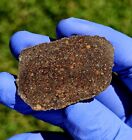 Meteorite**NWA 14007, LL3**23.332 gram Endcut, W/Amazing Chondrules!!!