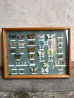 Real Framed Butterfly Picture Art Taxidermy. Vintage.
