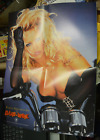 BARB WIRE RARE VINTAGE 1996 PAMELA ANDERSON LEE 16.5 X 21.5 INCH PROMO POSTER NM