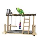 Parrots Playground Bird Perch Play Gym Parrot playstand Wooden Play Stand