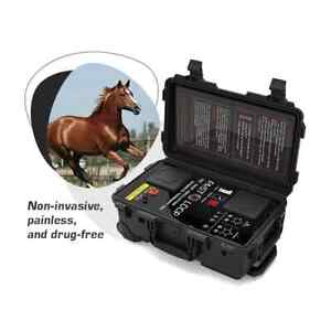 Equine PEMF Device PMST LOOP Magnetic Therapy Machine for Horses Treatment