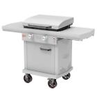 New Listing2-Burner Digital Propane BBQ Grill Outdoor Flat Top Griddle Fully Enclosed Cart