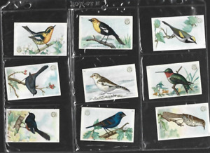 Lot of 39 diff Arm & Hammer  Useful Birds of America Cards Near Mint