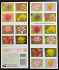 Mint US Garden Beauty Booklet Pane of 20 Forever Stamps Scott# 5567b (MNH)