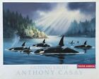 Guiding Light Orca Art by Anthony Casay Vintage 1993 Poster 24 x 30