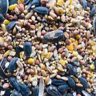 Wild Bird Food Feed Mix Milo Millet Sunflower Seeds Wheat Cracked Corn USA Grown
