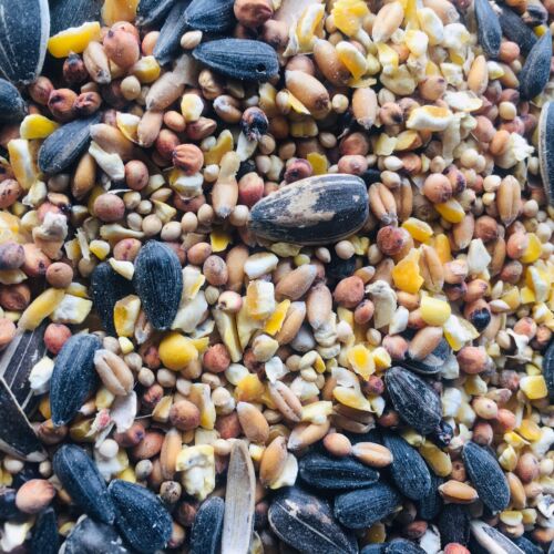 Wild Bird Food Feed Mix Milo Millet Sunflower Seeds Wheat Cracked Corn USA Grown