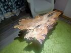 Live Edge Center Table Rustic Coffee Table Natural Olive Root Solid Wood