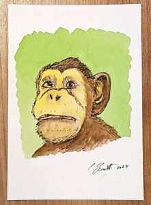 CHRIS ZANETTI Original Watercolor Painting MONKEY Wildlife Animal 6x4 Signed Art