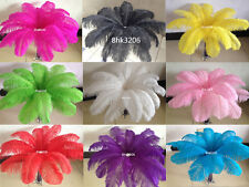 Wholesale!Beautiful 10/50/100pcs Ostrich Feathers 6-24inches/15-60cm wedding