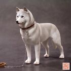 1/6 th Scale Siberian Husky Figure Model Standard Dog Doll Collectible Toy Gifts