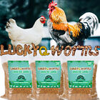Natural Dried Black Soldier Fly Larvae Non-GMO Mealworms Treats for Chickens Hen