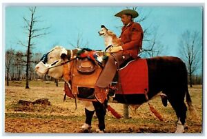 Milaca Minnesota Postcard Beef Rider Carl Swanson Dog Blondie Riding Bull c1960