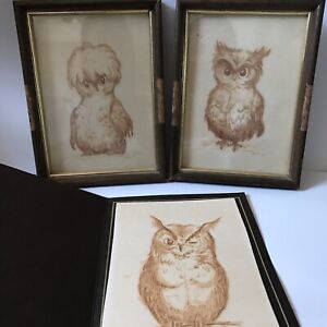 Original Hand Painted Owl Drawings Signed 1973 Set Of 3