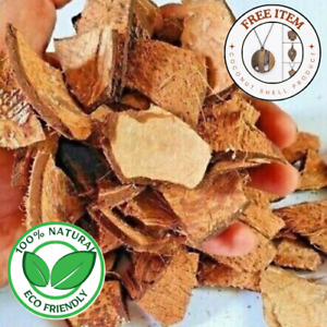 New Listing100% Natural Pure Ceylon Eco Friendly Coconut Shell Chips Coco Chips 2kg
