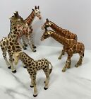 Schleich Giraffe Safari Ltd. Giraffes Papo Plastic Animal Lot Of 5 Collectibles