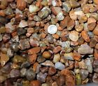 Lake Superior Agates! One pound lot, Minnesota Agate Natural Bulk lb Lot