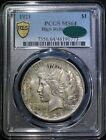 1921 Peace Silver Dollar PCGS MS64 CAC Lustrous Well Struck Original Patina