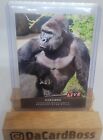 Harambe 2016 Leaf Live #8 Trading Card   ONLY 243 PRINTED