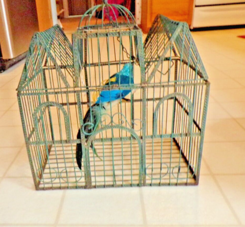 VTG Lg Decorative Green  Metal Wire Bird Cage Dome & Fancy Bird 14