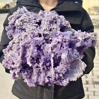 12.78LB Natural purple grape agate quartz crystal granular mineral specimen