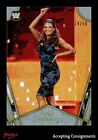 2018 Topps Legends of WWE Silver #WD3 Eve Torres 14/50