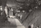 Luray Caverns, Virginia, Entrance Avenue, 1906 - Postcard (J16)