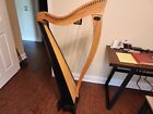 Used 34 string Dusty Strings Harp fully levered  with soft cover
