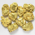 10 pcs Alaska Natural Gold - Size 0.5-1mm - TV Gold Rush Alaska (#.5-1)