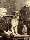 Antique Cabinet Card Photo Boys Posing With Their Pet Boston Terrier Dog