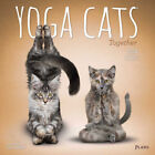 Browntrout Yoga Cats Together OFFICIAL 2024 12 x 12 Wall Calendar w