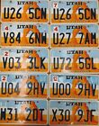 BULK LOT of 40 Delicate Arch License Plates NICE QUALITY