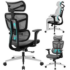 Ergonomic Office Chair High Back Home Office Desk Chairs, Adjustable Back & L...