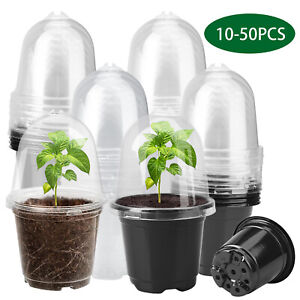 10-50PCS Plastic Plant Pot Nursery Pots Seed Starter Pots With Humidity Dome USA