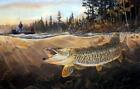 Terry Doughty Muskie Bay Fishing Signed and Numbered Art Print 25 x 16.5
