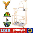 Pet Parrot Playstand Parrots Bird Playground Bird Play Stand Wood Perch Gym Play