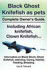 Black Ghost Knifefish as Pets, Incuding African Knifefish, Clown Knifefish......