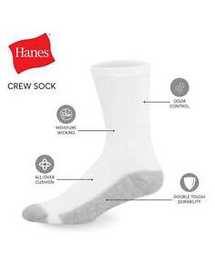 Hanes Men's Crew Socks Pack of 12 Cushion Comfort Cotton Fresh IQ size 6-12 NWT