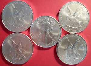 (5) 2024 SILVER EAGLE COINS from fresh U. S. MINT ROLL