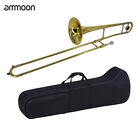 Bb Alto Slide Trombone B Flat Brass Gold Lacquer for School Band Student C4W0