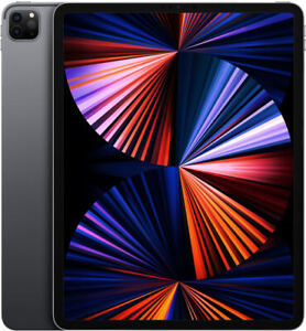 Apple iPad Pro 12.9-inch (5th Gen.) 256GB Space Gray Unlocked Fair Condition