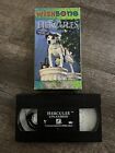 Wishbone: Hercules Unleashed VHS 1997