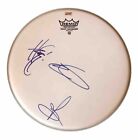 PARAMORE Signed Autograph DRUMHEAD Hayley Williams, Taylor York, Jeremy Davis CA
