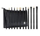 Morphe Eye Obsessed 12 Piece Eye Brush Collection with bag NEW!