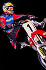 Jeremy Mcgrath Motorcycle Cross Country Idol Wall Art Home Decor - POSTER 20x30