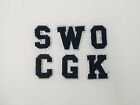 2 Inch Chenille Letter with Silver Glitter Border: Pick Your Letter/ Color