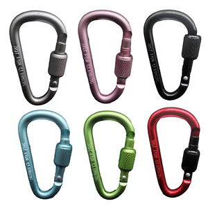 New Listing2 pcs 6cm Outdoor Camping Climbing Carabiner D Shape KeyChain Kettle Hang Hook