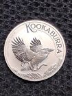2024 Australian Kookaburra 1 OZ Silver Coin BU.